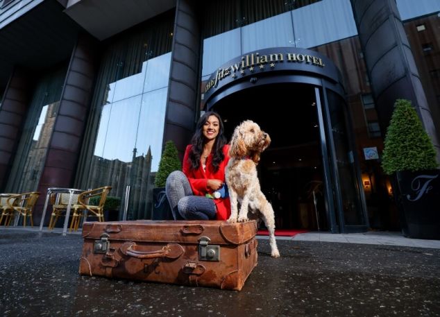 13 Fitzwilliam Hotel Belfast Dog Friendly (1)